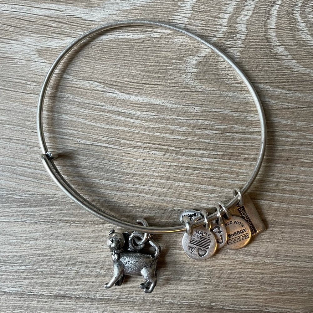 Alex and Ani Monopoly Cat Bracelet